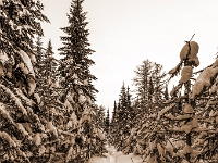 Camp Mercier
